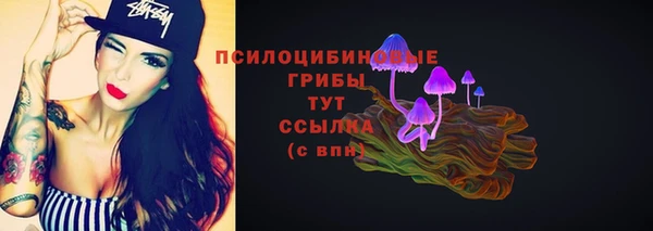 МДПВ Няндома